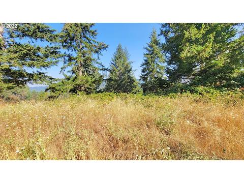 Hiland Ranch Dr, Oakridge, OR 97463