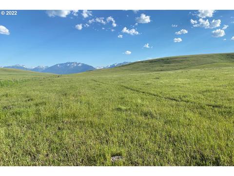 0 Ant Flat Rd, Enterprise, OR 97828