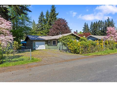 31 Vine Maple Loop, Carson, WA 98610 photo 1