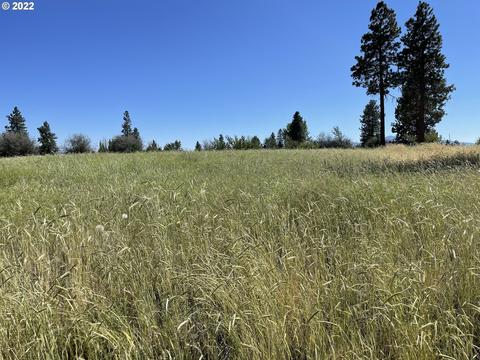Kerry Drive, Chiloquin, OR 97624