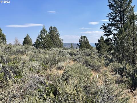 Harney St, Sprague River, OR 97639