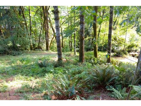 Wilson River Hwy, Tillamook, OR 97141