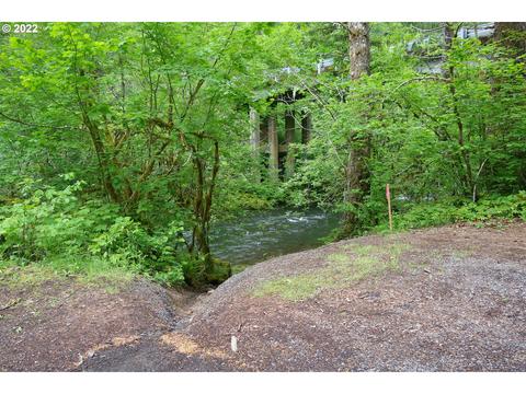 114 Edgewater Rd, Carson, WA 98610