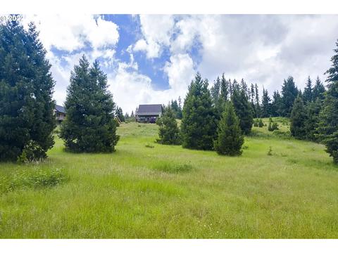 0 Bugle Loop, Oakridge, OR 97463 photo 1