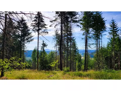 86830 Northill Ranch Rd #106, Eugene, OR 97402 photo 1
