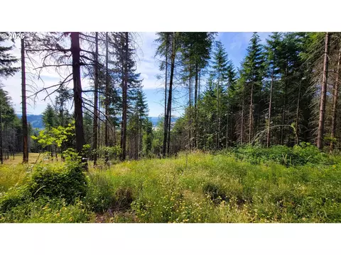 86830 Northill Ranch Rd #106, Eugene, OR 97402 photo 6