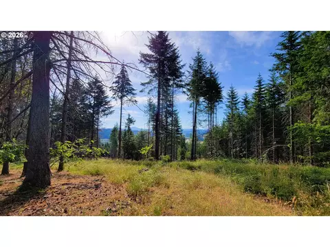 86830 Northill Ranch Rd #106, Eugene, OR 97402 photo 5