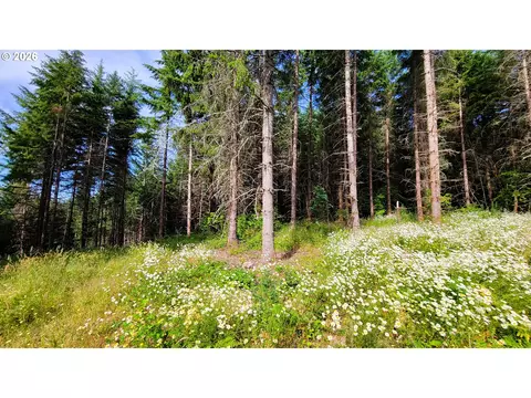 86830 Northill Ranch Rd #106, Eugene, OR 97402 photo 9