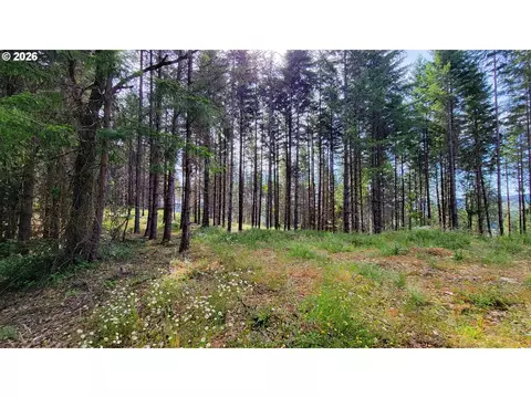 86830 Northill Ranch Rd #106, Eugene, OR 97402 photo 11