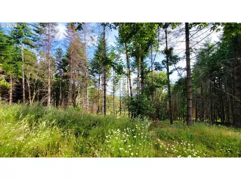 86830 Northill Ranch Rd #106, Eugene, OR 97402 photo 8