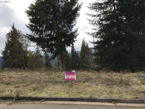 76697 S Bugle Loop, Oakridge, OR 97463 photo 1