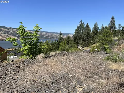 Asher St, Mosier, OR 97040 photo 13