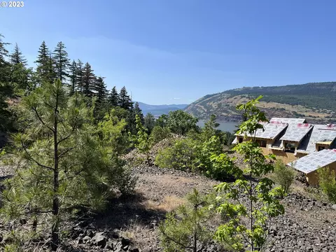 Asher St, Mosier, OR 97040 photo 18