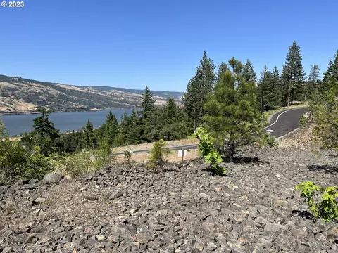 Asher St, Mosier, OR 97040 photo 8