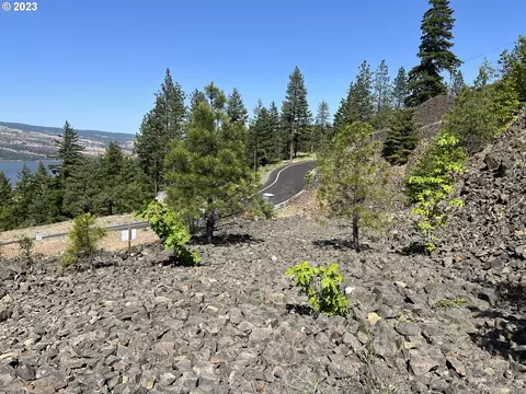Asher St, Mosier, OR 97040 photo 14