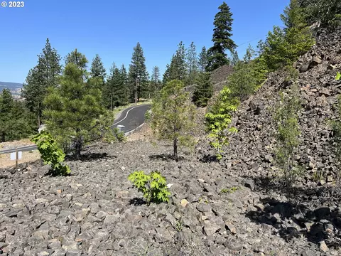 Asher St, Mosier, OR 97040 photo 15