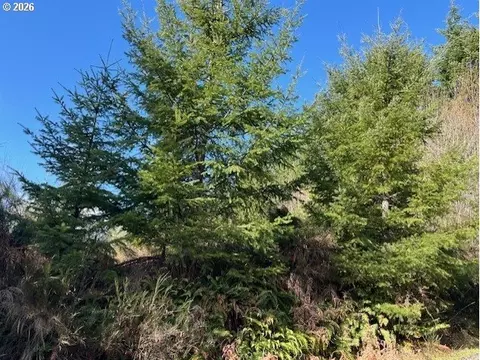 NW Wilcox Dr, Timber, OR 97144 photo 7