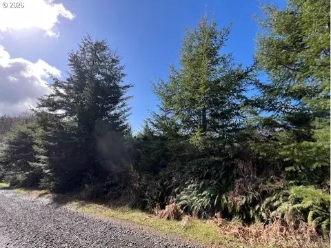 NW Wilcox Dr, Timber, OR 97144 photo 8