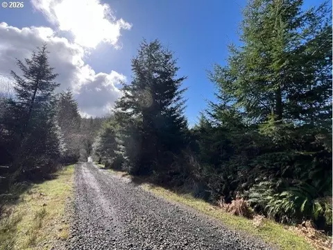 NW Wilcox Dr, Timber, OR 97144 photo 3
