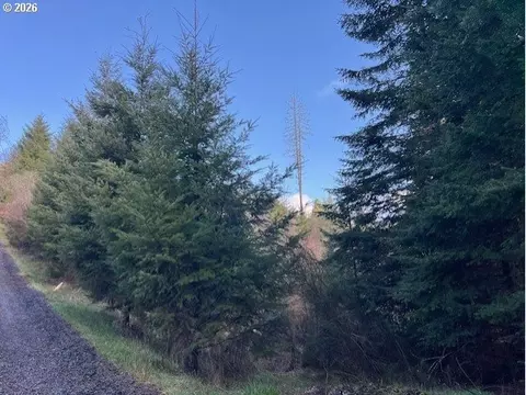 NW Wilcox Dr, Timber, OR 97144 photo 9