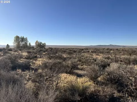 Pinion Lane, Christmas Valley, OR 97641