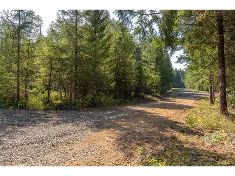 hawk meadows rd, Carson, WA 98610 photo 31