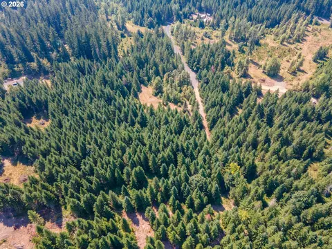 hawk meadows rd, Carson, WA 98610 photo 21