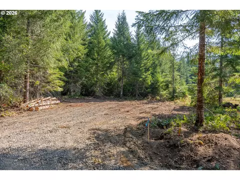 hawk meadows rd, Carson, WA 98610 photo 2