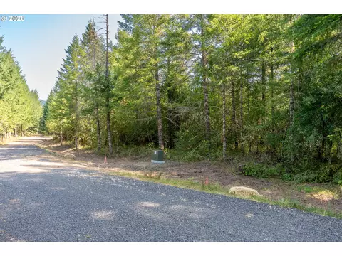 hawk meadows rd, Carson, WA 98610 photo 26