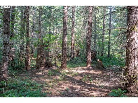 hawk meadows rd, Carson, WA 98610 photo 13