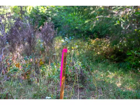 hawk meadows rd, Carson, WA 98610 photo 10
