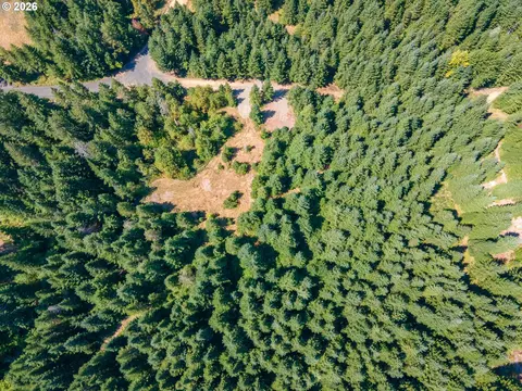 hawk meadows rd, Carson, WA 98610 photo 23