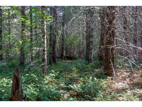 hawk meadows rd, Carson, WA 98610 photo 4