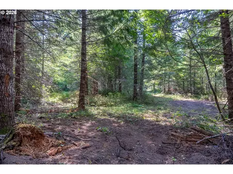 hawk meadows rd, Carson, WA 98610 photo 14