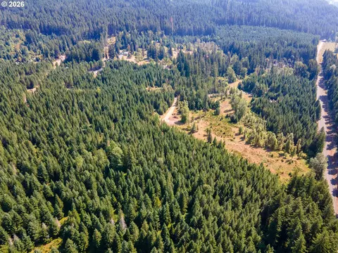 hawk meadows rd, Carson, WA 98610 photo 40