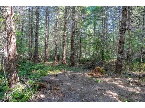 hawk meadows rd, Carson, WA 98610 photo 12