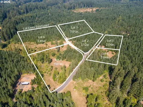 hawk meadows rd, Carson, WA 98610 photo 35