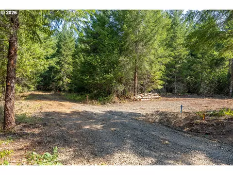 hawk meadows rd, Carson, WA 98610 photo 3