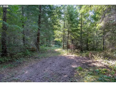 hawk meadows rd, Carson, WA 98610 photo 7