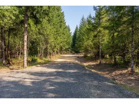 hawk meadows rd, Carson, WA 98610 photo 29
