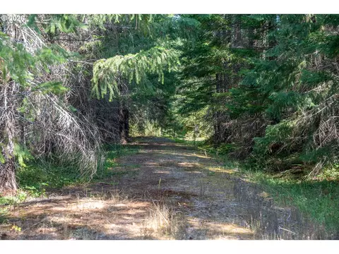 hawk meadows rd, Carson, WA 98610 photo 33