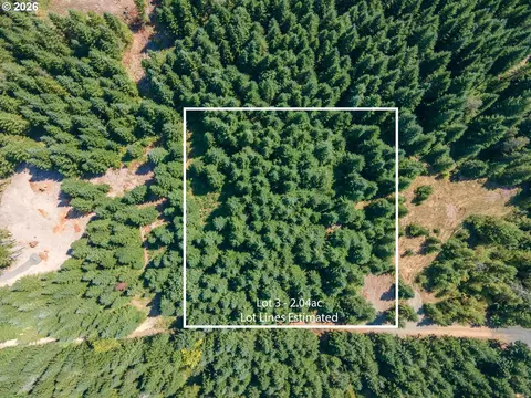 hawk meadows rd, Carson, WA 98610 photo 18