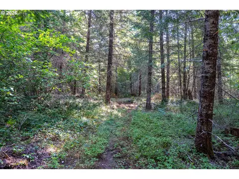 hawk meadows rd, Carson, WA 98610 photo 6
