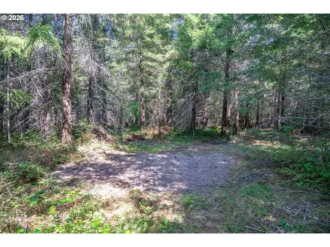 hawk meadows rd, Carson, WA 98610 photo 17