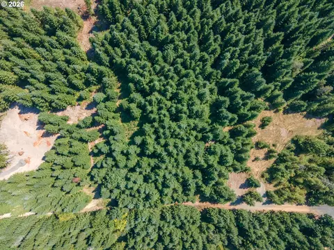 hawk meadows rd, Carson, WA 98610 photo 20
