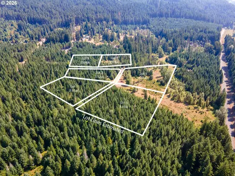 hawk meadows rd, Carson, WA 98610 photo 39