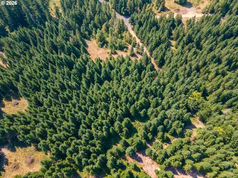 hawk meadows rd, Carson, WA 98610 photo 22