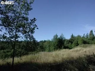 3800 NW 372nd St, La Center, WA 98629
