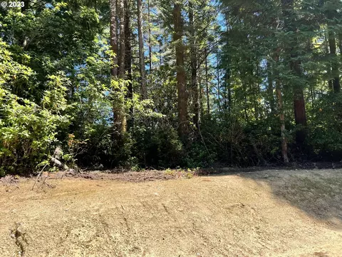 Little Woahink Dr, Florence, OR 97439