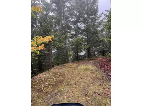 6232 Coyote Creek Rd, Wolf Creek, OR 97497